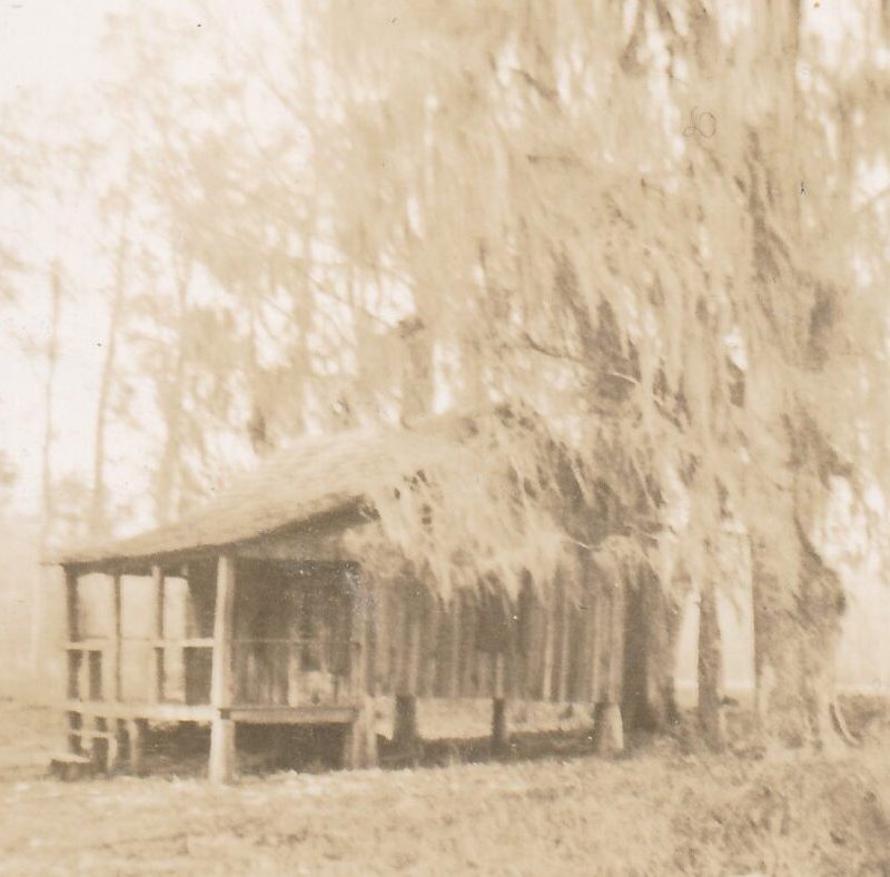 Lake Mattamuskeet Mattamuskeet Goose Club