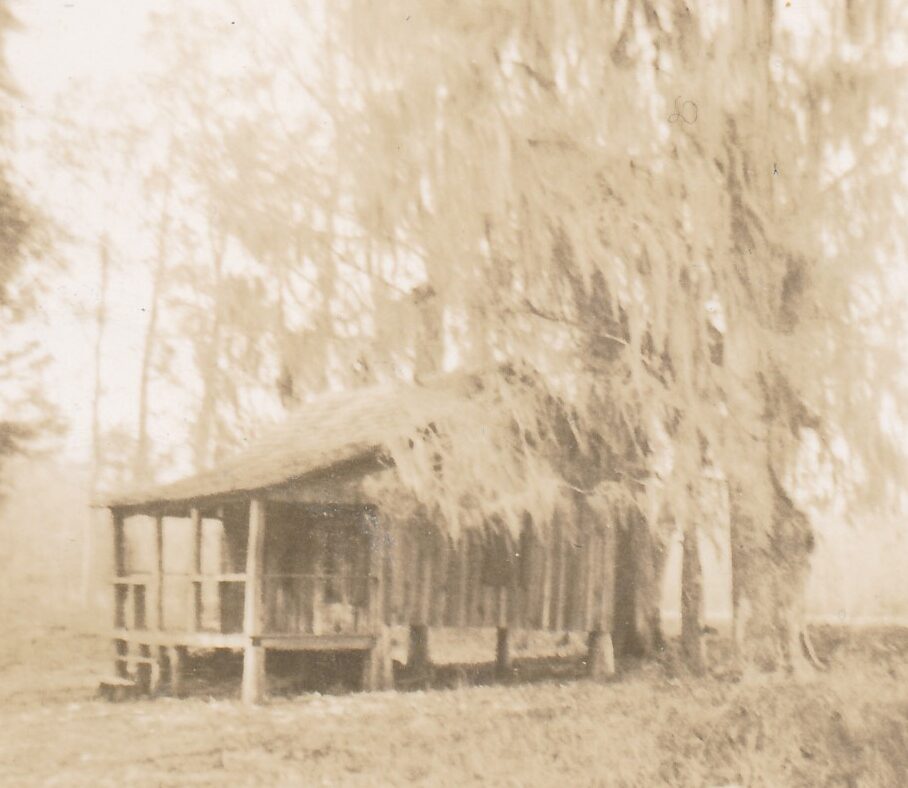 Looking Back at Our Roots: A History of Waterfowl Hunting in North
