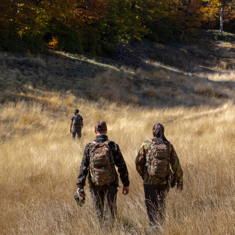 Why Fall Is the Best Time to Experience Mattamuskeet Goose Club