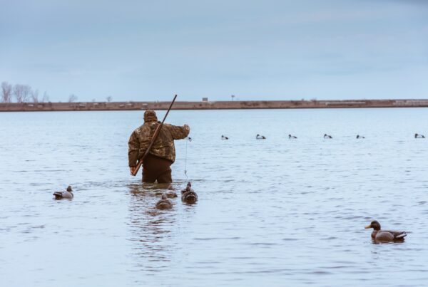 How to Prepare for Your Fall Waterfowl Hunt at Mattamuskeet Goose Club
