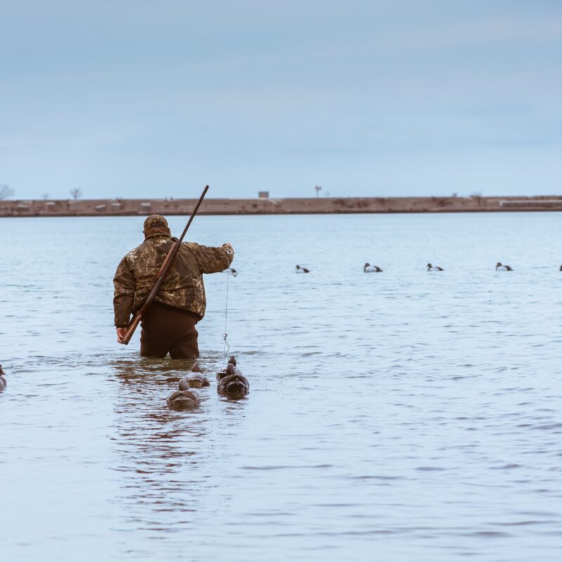 How to Prepare for Your Fall Waterfowl Hunt at Mattamuskeet Goose Club