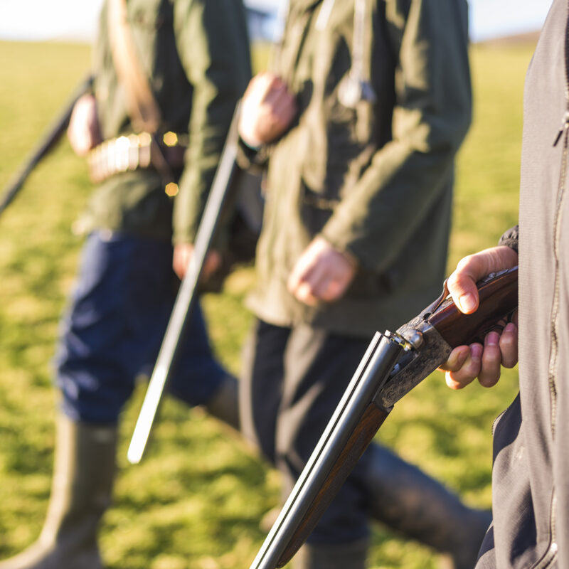 More Than a Hunt: The Legacy and Lifestyle of Mattamuskeet Goose Club
