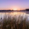 Swamp with ven at sunset in autumn landscape.