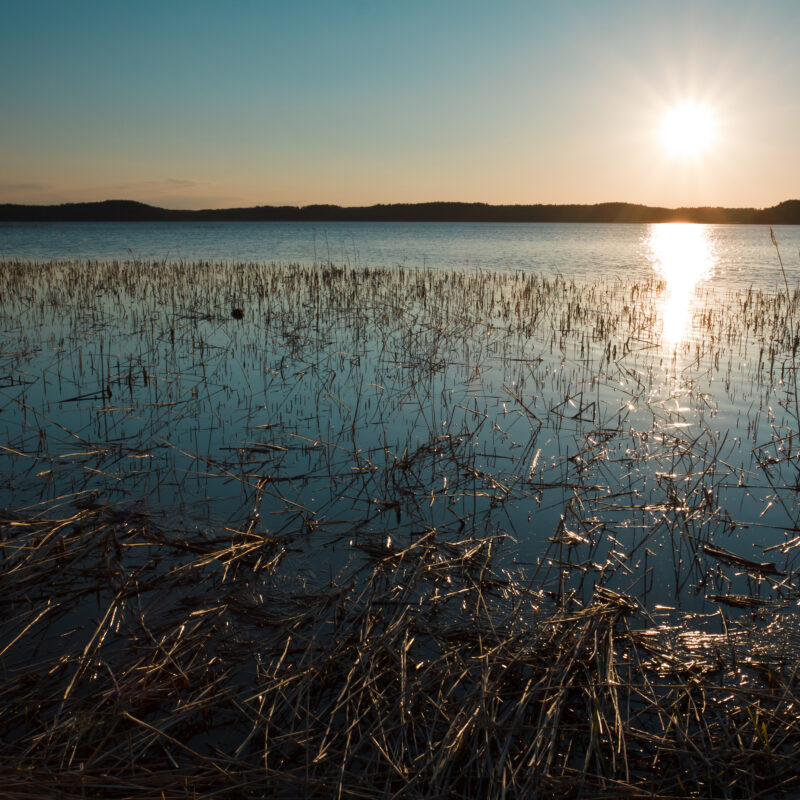 Lake with reflection in reeds at Sunset